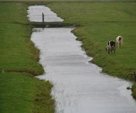 Hotel Fletcher Badhotel Callantsoog
