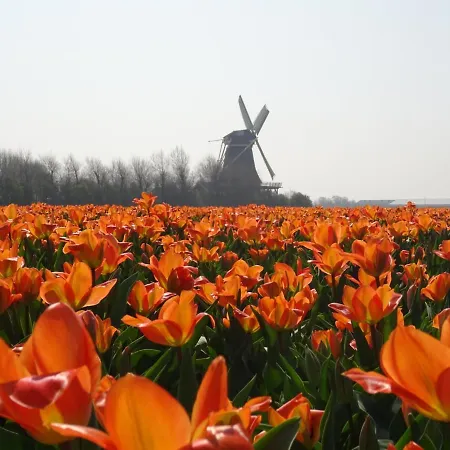 Hotel Fletcher Badhotel