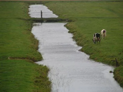 Hotel Fletcher Badhotel Callantsoog