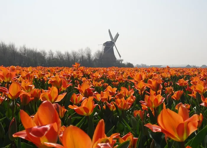 Hotel Fletcher Badhotel